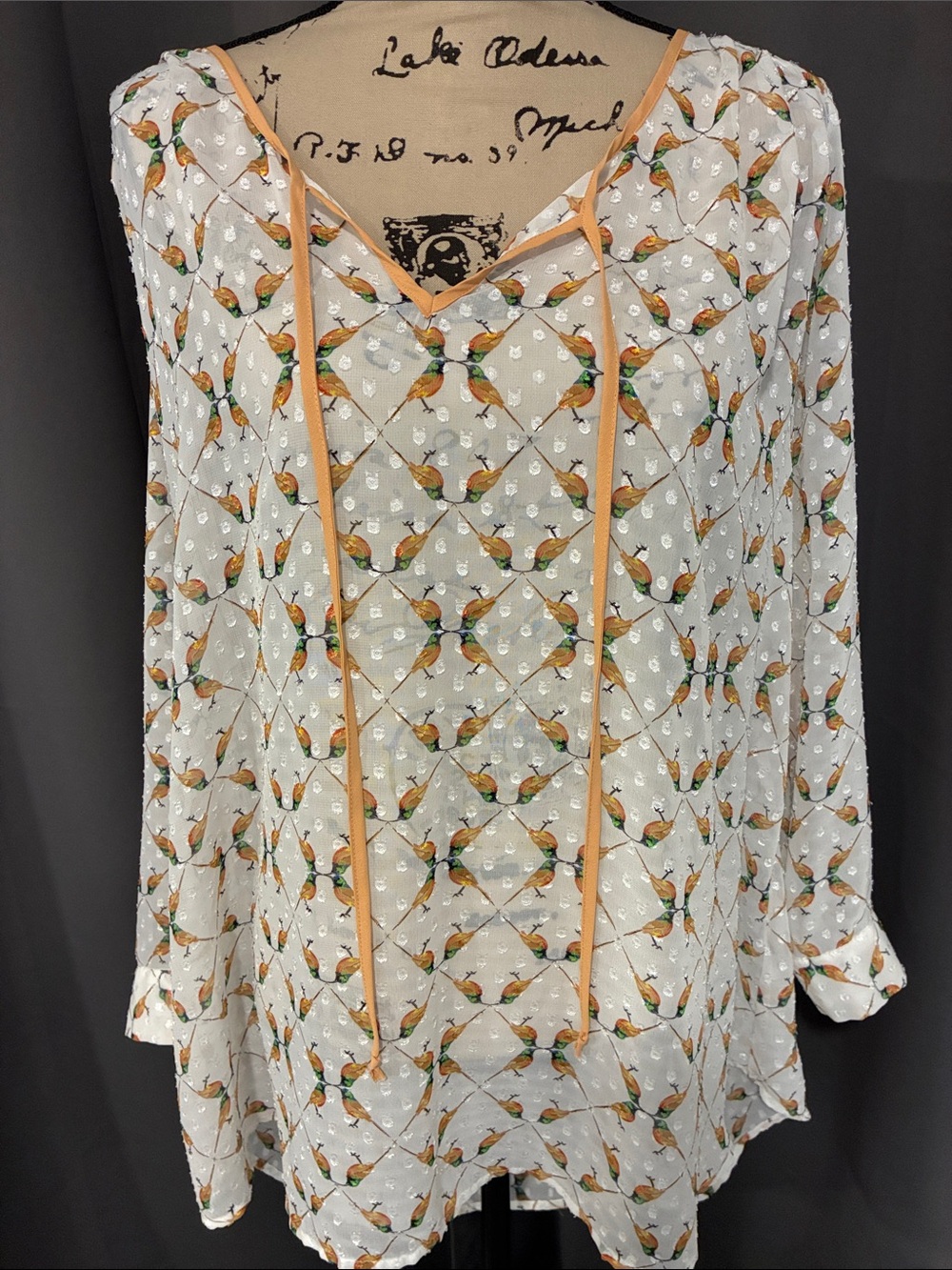 Women's Cream Floral Bird Print V-Neck Blouse with Tan Trim
